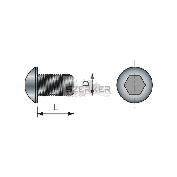 FR csavar M10x25